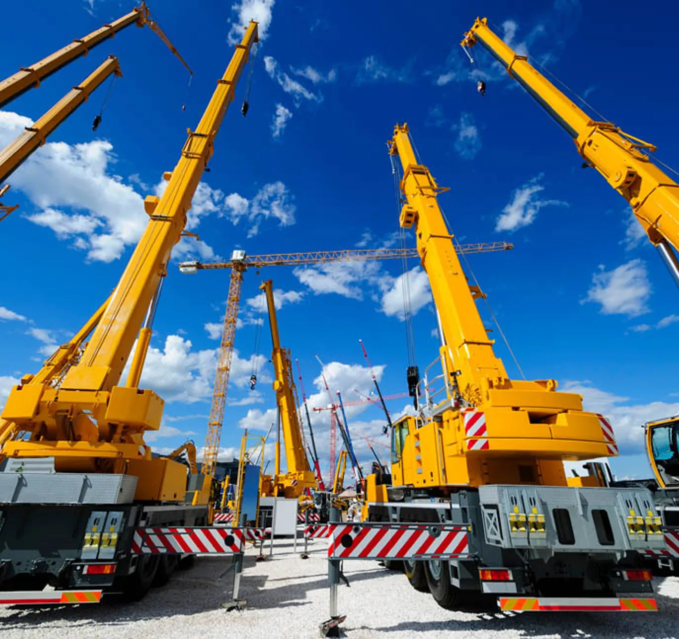 Many yellow mobile and tower cranes parked in a lot on a sunny day.