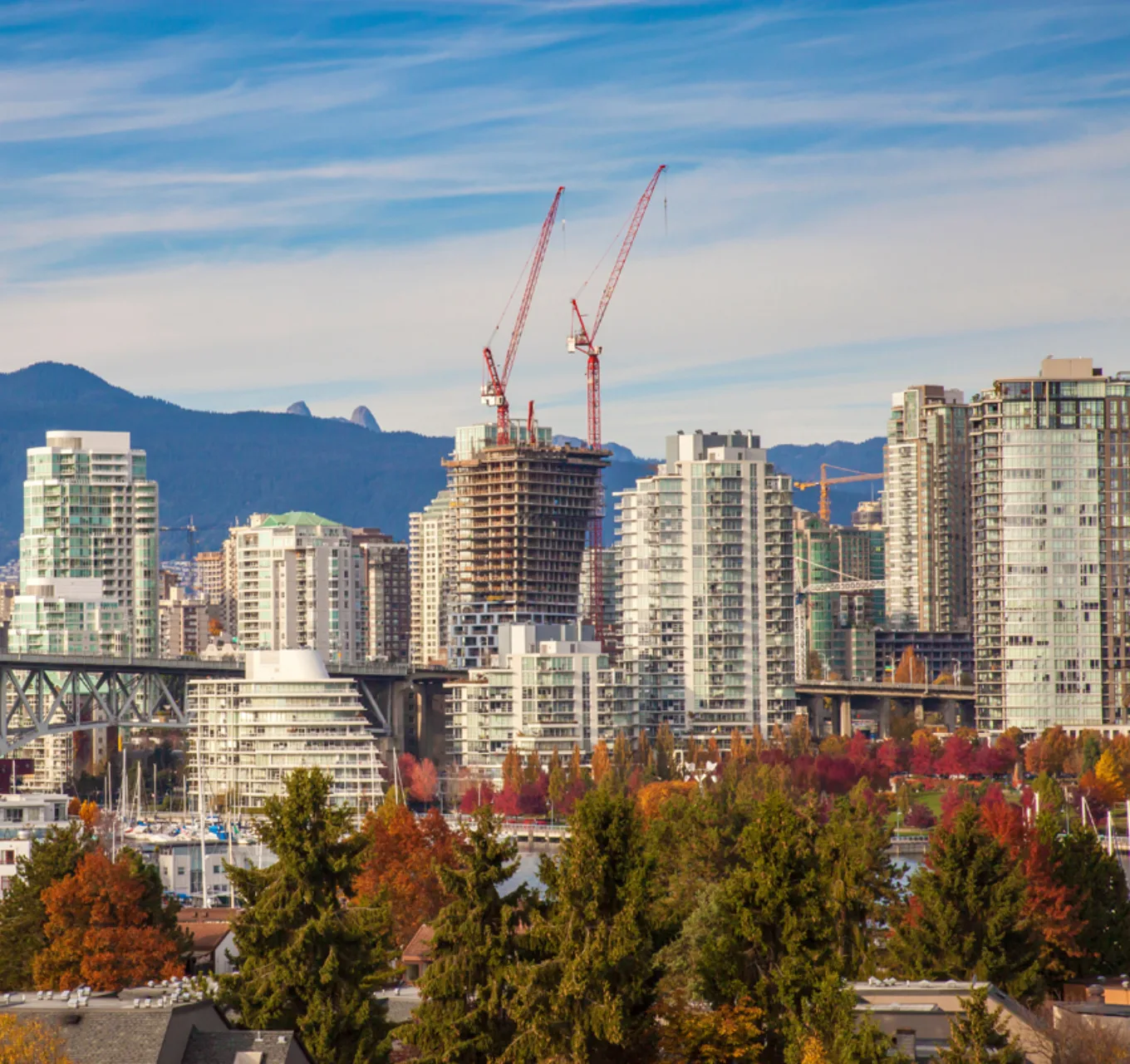 A view of the Vancouver downtown highrises and tower cranes with fall colours in the trees.