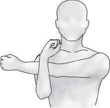 /files/uploaded/Resource-Documents/Newsletters/Toolbox-Talks-Stretching-Exercises-for-Crane-Operators2a8a8bde56a1a353f4e5fdd641f0b199_shoulder.jpeg